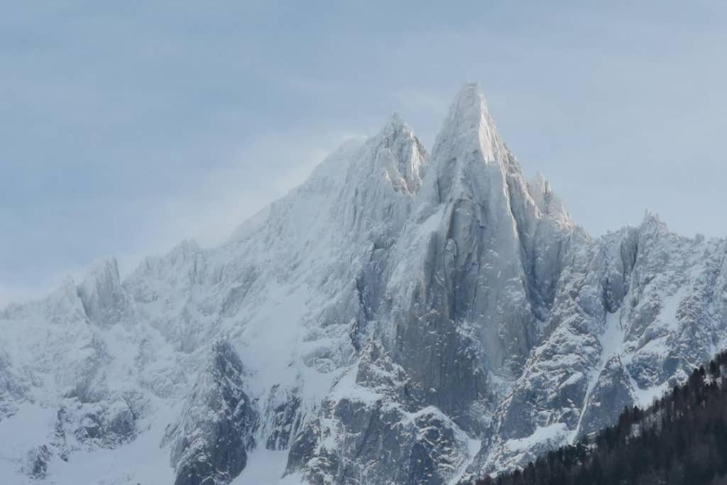 Residence Luxe 5*,Spa & Fitness, La Cordee Appartement 821 Chamonix Eksteriør bilde
